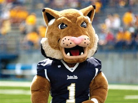 A Bobcat's Tale: The Adventures of Montana State's Mascot